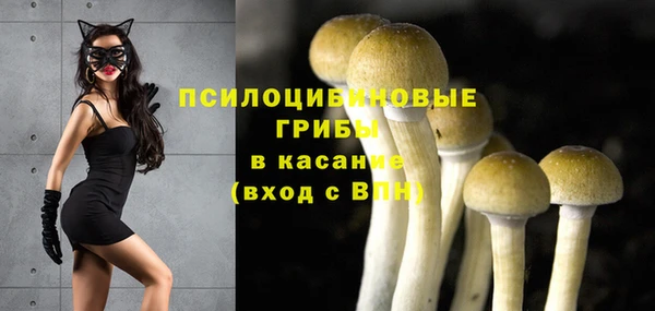 spice Бронницы