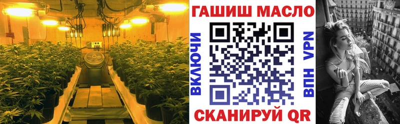 ТГК THC oil  Мончегорск 